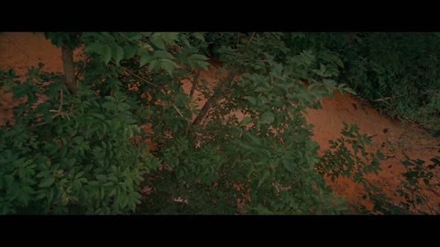 YMS Commentary: Abduction