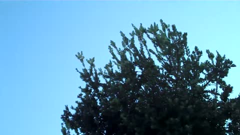 .Kid Breaks Friends Camera With Airsoft Gun