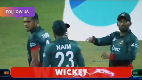 Cricket highlights