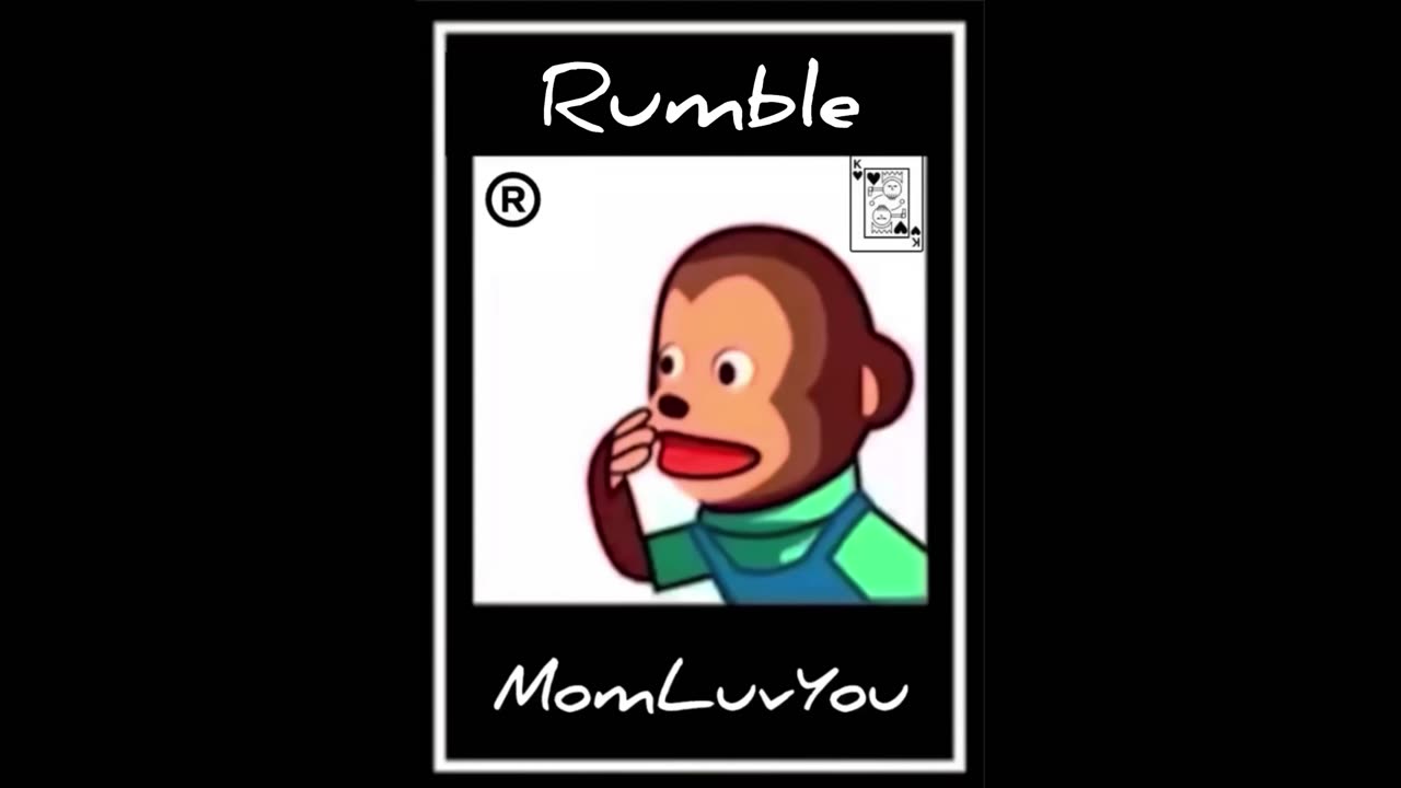 I can’t believe you done this