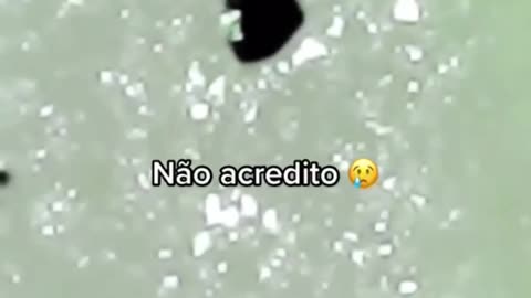 MASSA DE PIZZA NO MICROSCÓPIO, É PIOR QUE MIOJO!! 🤢
