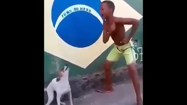 Funny dog dancing with a boy 🕺🐕