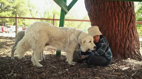 A Girl Petting Her Pet Dog