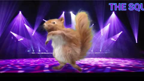 THE SQURREL SHUFFLE! COOL ANIMATED SQUIRRLE DANCING