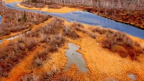 Lake Sivash Crimea