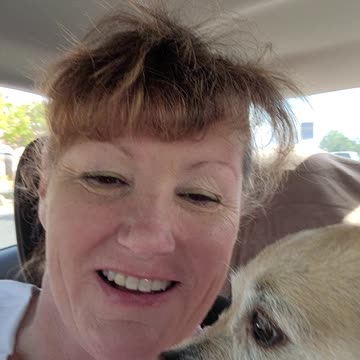 Doggie niece is okay