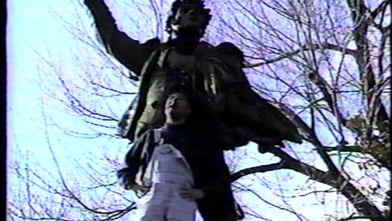 Sedlak Pirate Video