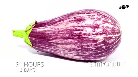 Graffiti Aubergine Eggplant Time-Lapse