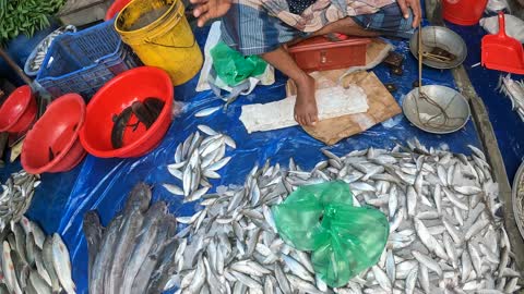 Fish Market Bangladesh