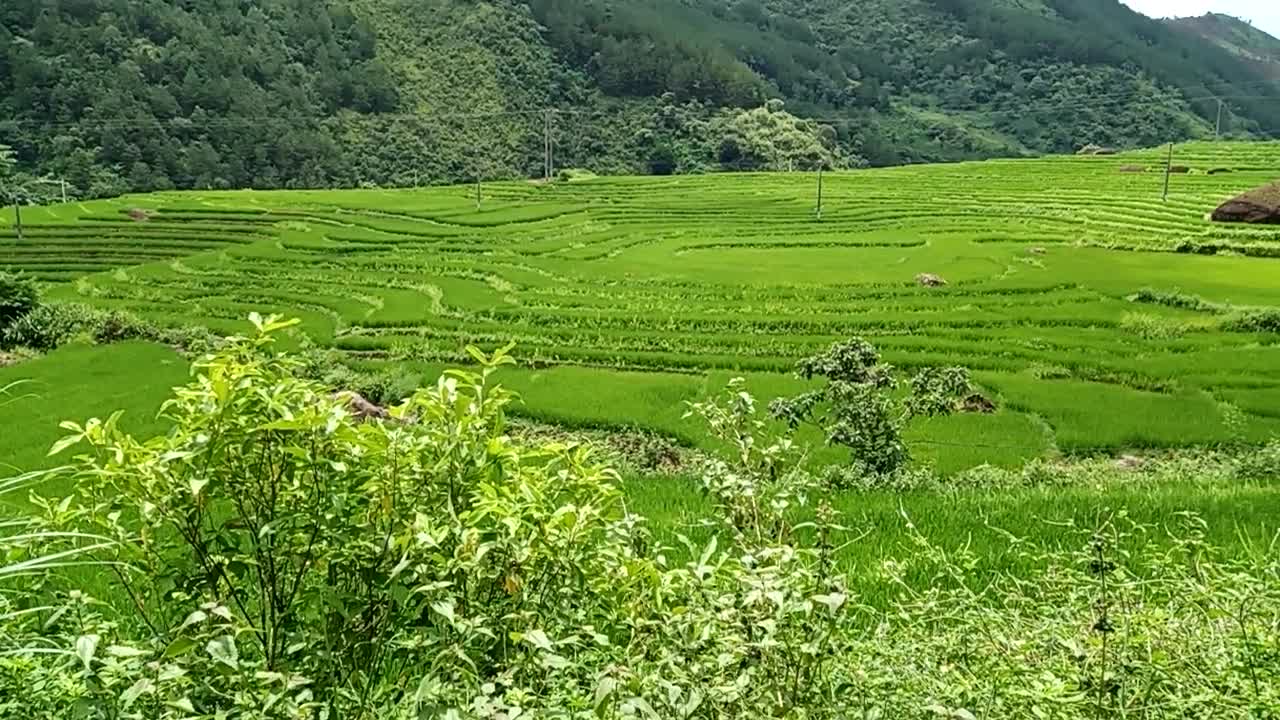 beauty of mountain terraces.