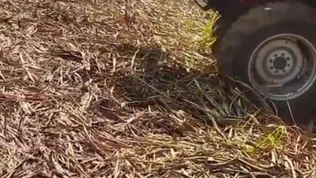 Indian tractor 's power