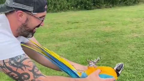 the best shot with your parrot