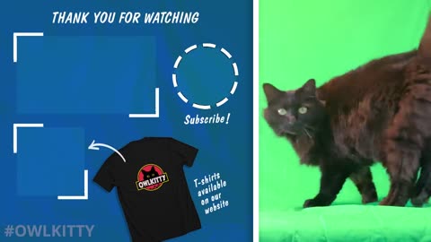 Jurassic Park but with a Cat