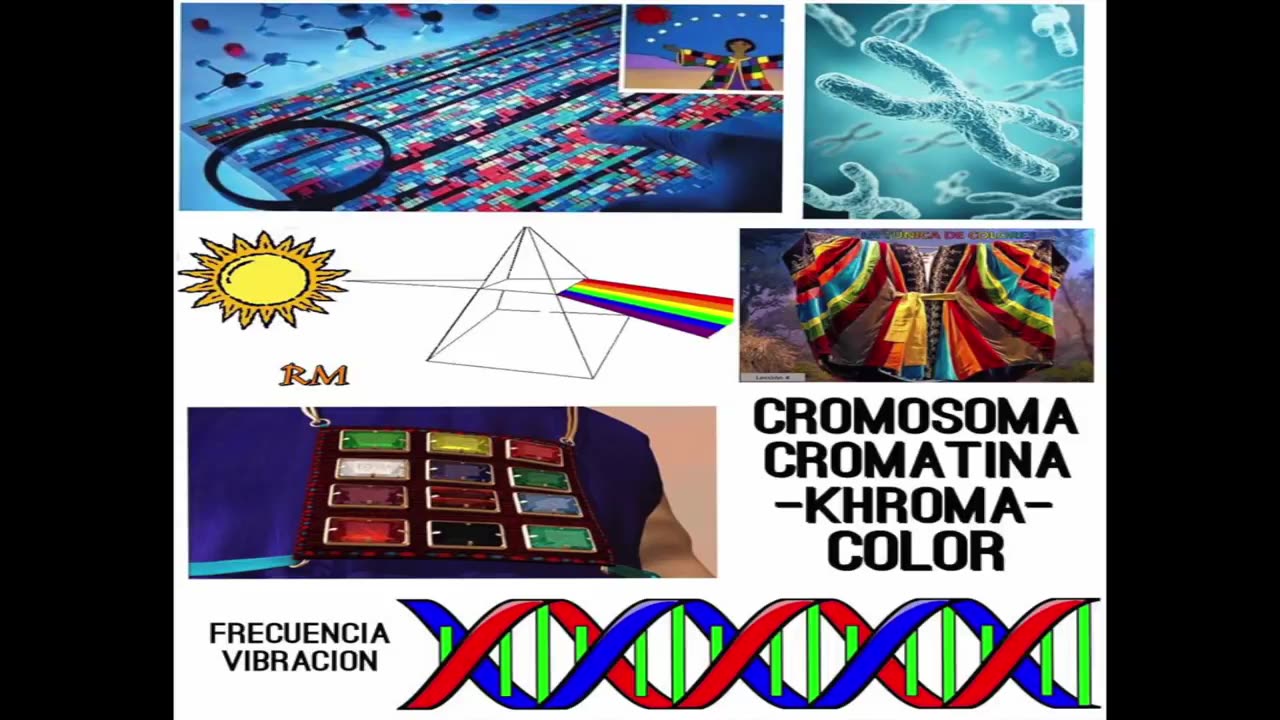 208. Somos Seres de Energía Biofotónica y Biosónica TUNICA MULTICOLOR