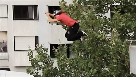 The world's best parkour and free run