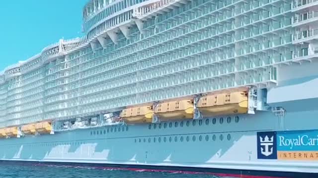 One of the largest ships in the world #ships_life