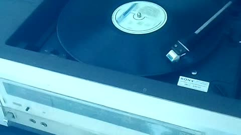 Brazilian rock star Raul Seixas' vinyl record.