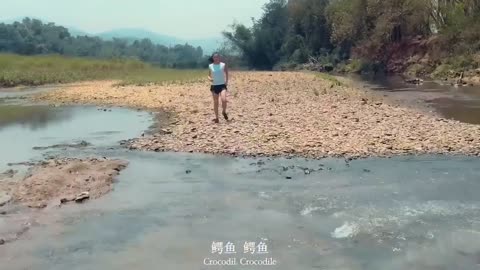 The Dangerous crocodile