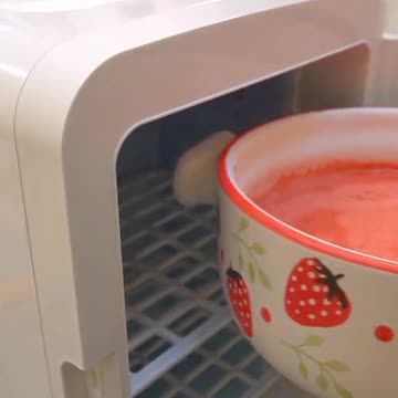 Funny animals funny cats