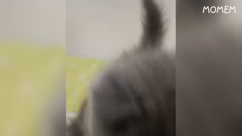 try not to laugh impossible