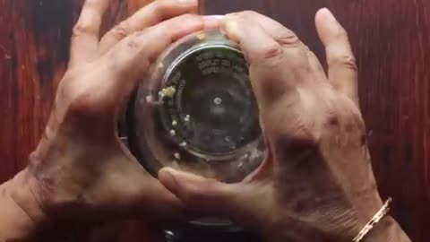 12 Mouthwatering Fish Recipes