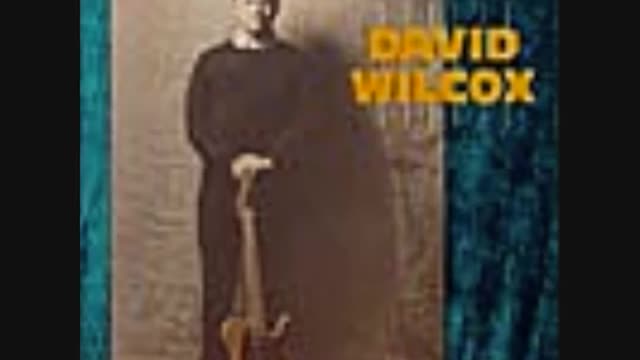 David Wilcox - Hot, Hot Papa