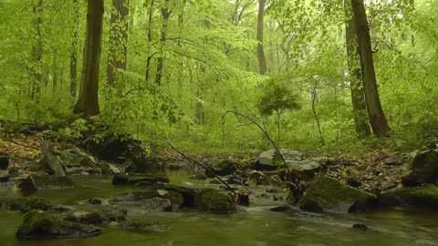 Relaxing videos with meditation music for sleep and relaxation