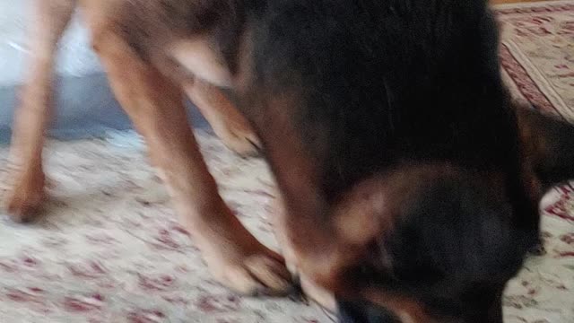 New toy makes a difference..