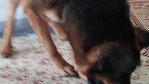 New toy makes a difference..