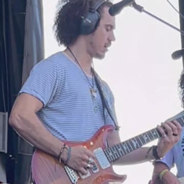 Jimmy Law (Dogs in a Pile) - LIVE @ Avondale (Short 4)