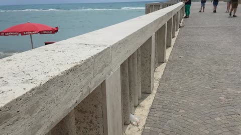 Pontile Ostia August