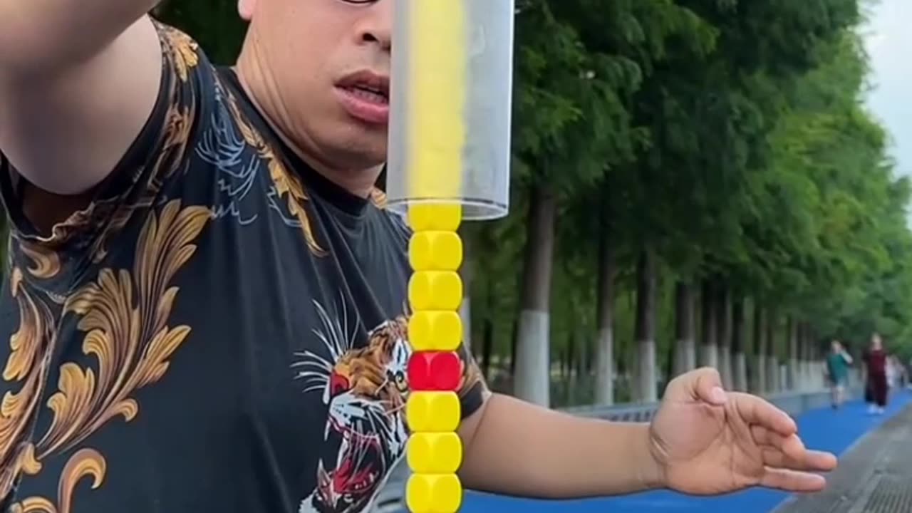 The 6point