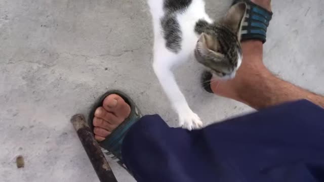 She really likes to play around