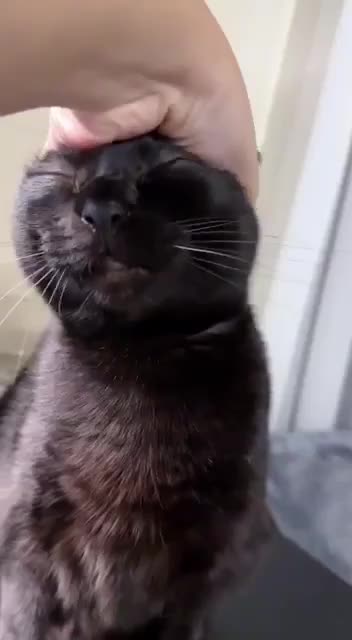 I hate you I hate you I love you!!! 🤣🤣🤣🤣🤣