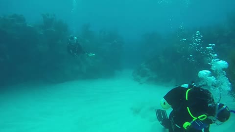 Cooper's Island Dive