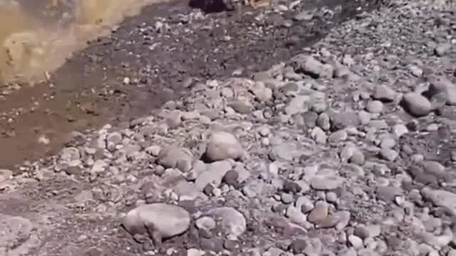 Video top