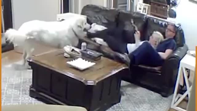 Here's another for EVERYONE