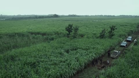 Raid 2 fight scene amazing