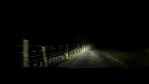 Night driving fo pro speee lapse .