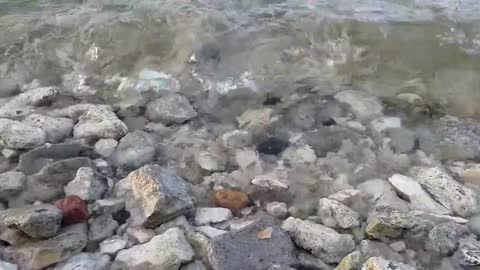 Watching fresh water is wonderful