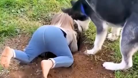 The dog actually pinned its master down into the hole