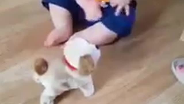 Bebê rindo com cãozinho saltador