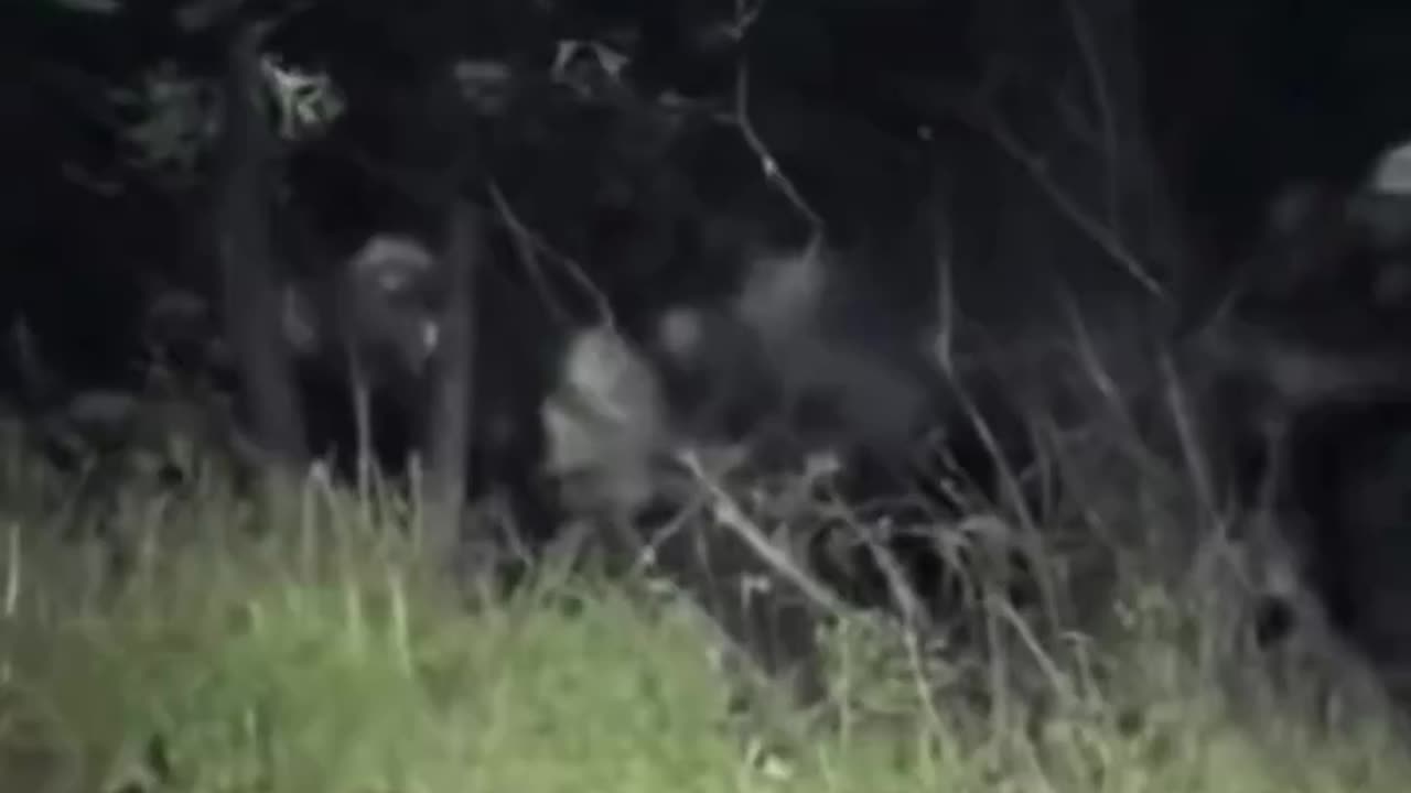 AI's Interprets What A Nightmare Looks Like