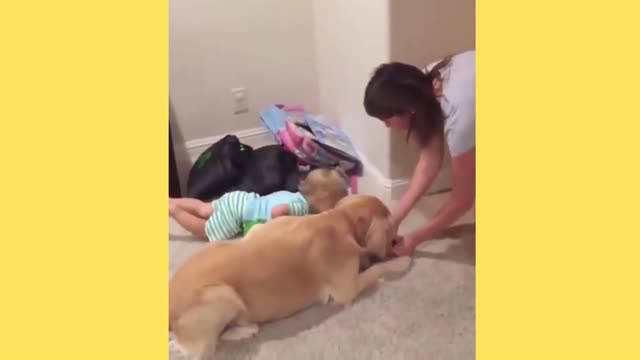 Funny And Cute Cat'S Life