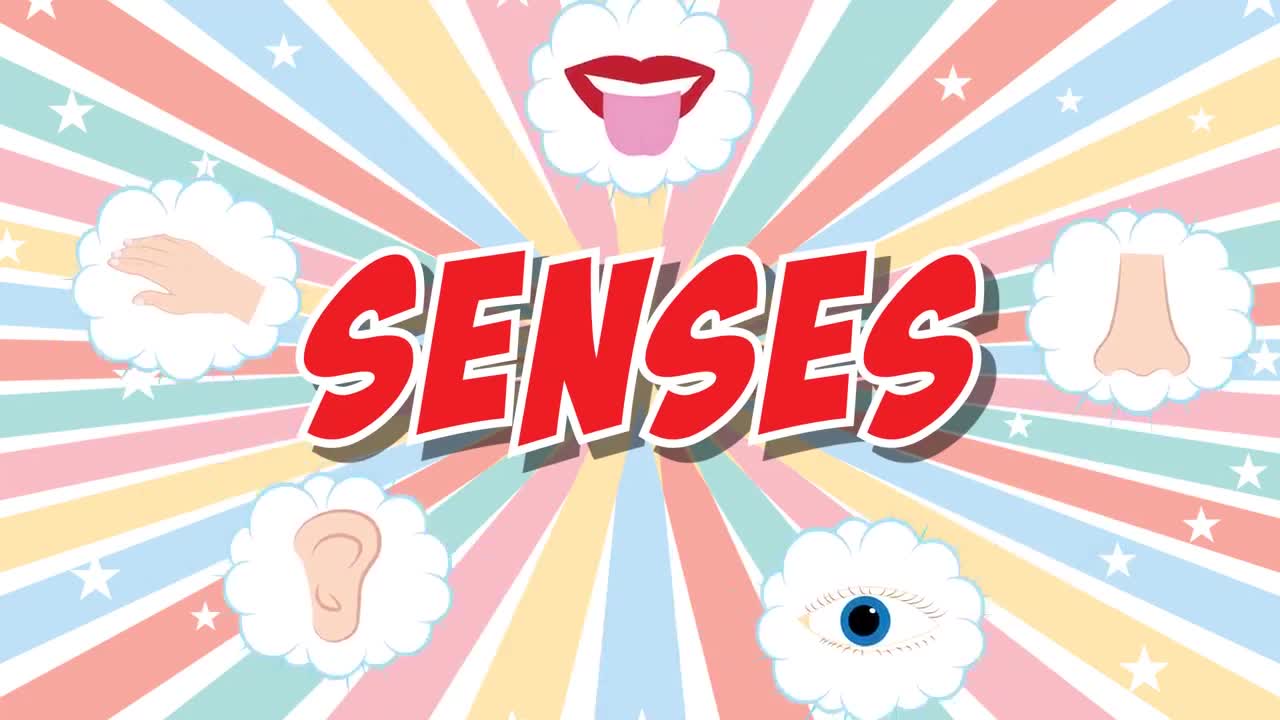 kids Five Senses Song