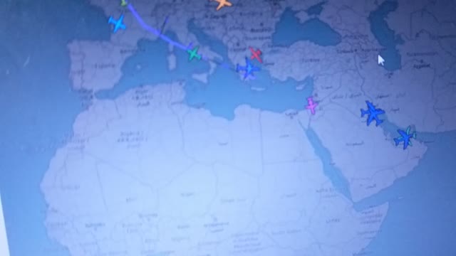 Mar A Lago Flight #13 Data Points On Birds Of Interest