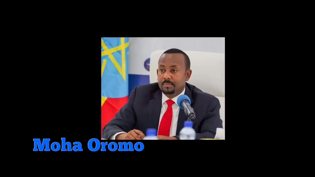 ODUU Hatattama WBO egdota motummaa bayye barbadesu Bilxiginnaan Hidhamtota oromo ukamsu| ሞሃ ኦሮሞ