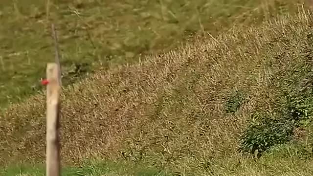 motorcycle transforms to a flying hover-bike