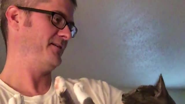 Heartless cat refuses to let owner kiss her