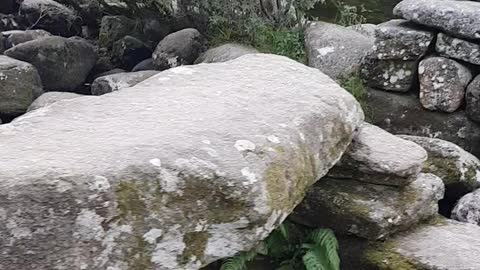 Granite boulders in a rive. Dartmoor